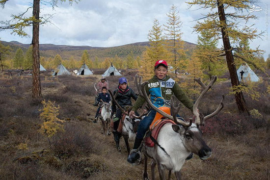 زندگی قبایل عشایری مغولستان با گوزن