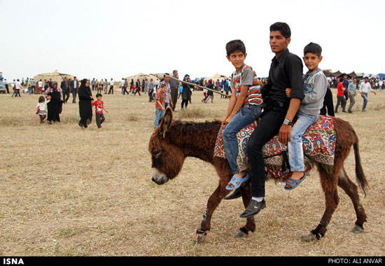 عکس: جشنواره کوچ عشایر در اردبیل