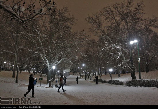 عکس: جلوه های یک شب برفی در تهران