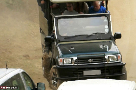 عکس: حمله پلنگ به خودرو گردشگران