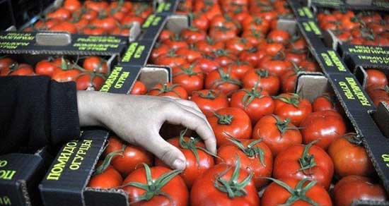 توضیح درباره دیپورت گوجه‌های ایرانی از عراق