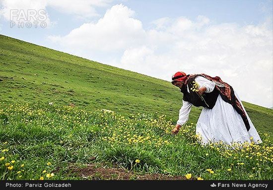 عکس: عشایر طایفه «باقربیگ»