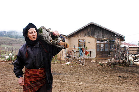 مهمترین فیلم‌های زنانه سینمای ایران