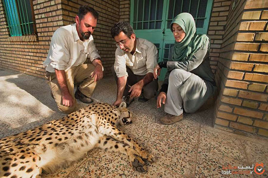 لیست قرمز حیوانات در خطر انقراض