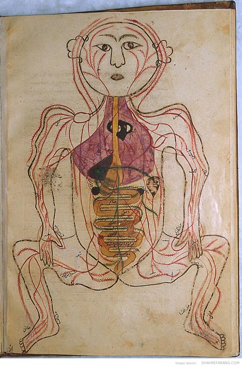 قدیمی‌ترین تصاویر از آناتومی بدن انسان
