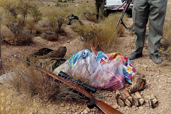 دستگیری 4 شکارچی همراه با لاشه 3 آهو