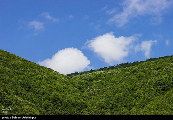 طبیعت «مِشه سویی» در دامنه کوه اسپیناس