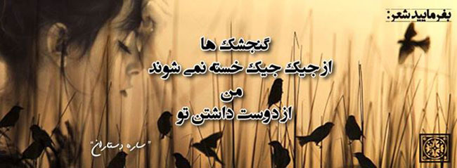 مینی شعر (56)