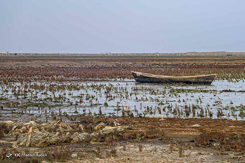 «خلیج گرگان» در جدال با خشکسالی