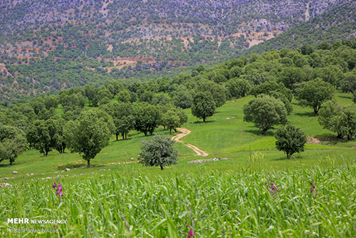 طبیعت بکر و دیدنی بازفت