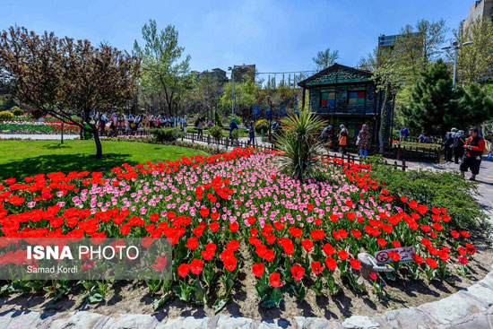 هفتمین جشنواره گل‌های لاله البرز