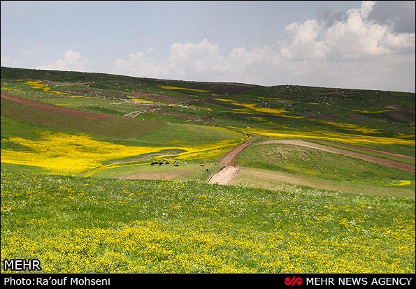 عکس؛ طبیعت دامنه های سبلان