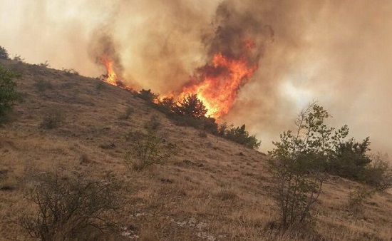 آتش‌سوزی ۳۰۰ هکتار از جنگل‌های ارسباران