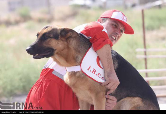 عکس: آموزش سگ های زنده یاب در تبریز