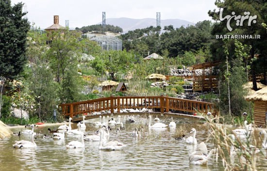 باغ پرندگان تهران چه ویژگی هایی دارد؟
