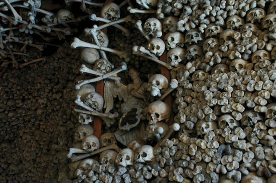 عکس: موزۀ مردگان
