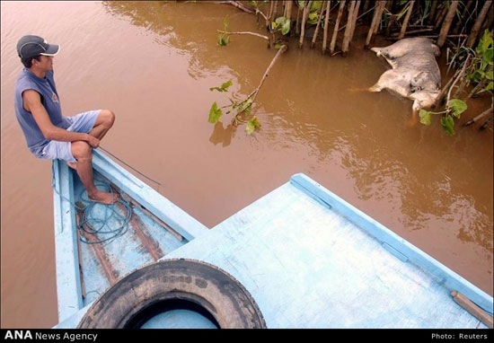 عکس: خسارات جبران ناپذیر آب‌های سمی