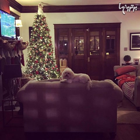 عکس کریسمس پسرانه