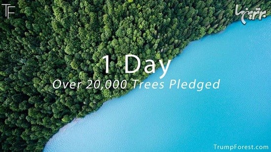 کاشت ۶۰۰۰۰۰ درخت در واکنش به دیدگاه‌های ترامپ