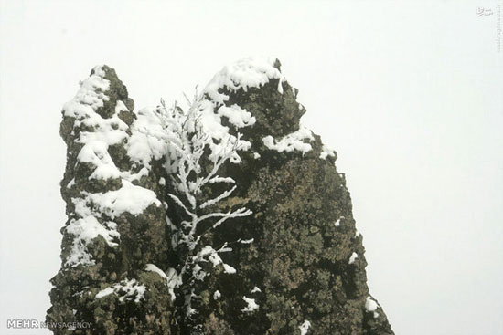 عکس: طبیعت زیبای زمستان اردبیل