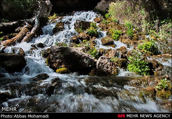 طبیعت بهاری روستای آب ملخ