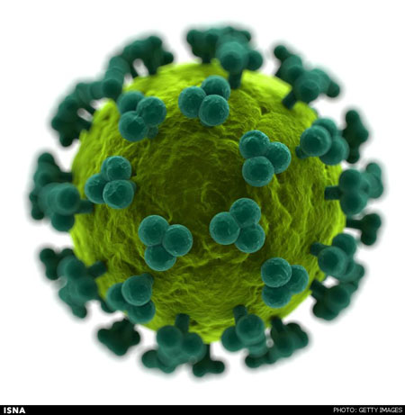 حذف ژن «HIV» از بدن حیوان زنده