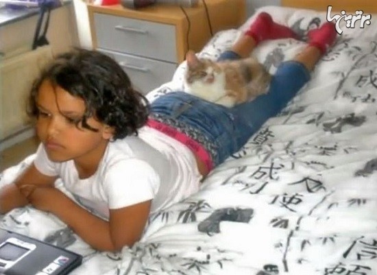 نجات بچه گربه زشت توسط کودک هفت ساله