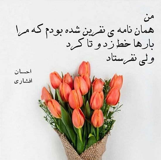 مینی شعر (214)