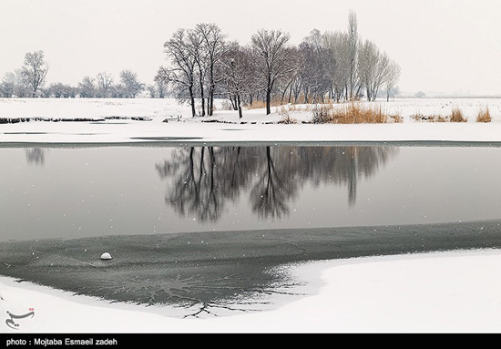 طبیعت زیبای زمستان در ارومیه