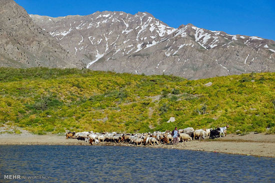 طبیعت منطقه کوه گل