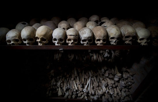 عکس: موزۀ مردگان