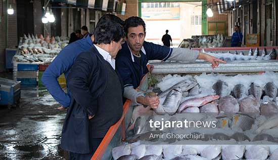 ایرانی‌ها می‌توانند ماهی را جایگزین مرغ کنند؟