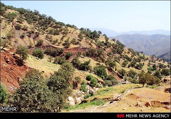 عکس: زیبایی‌های آبشار نوژیان لرستان