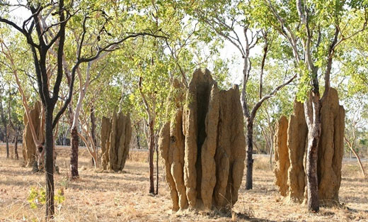 مکان هایی که باید حداقل یک بار در عمر خود ببینید!