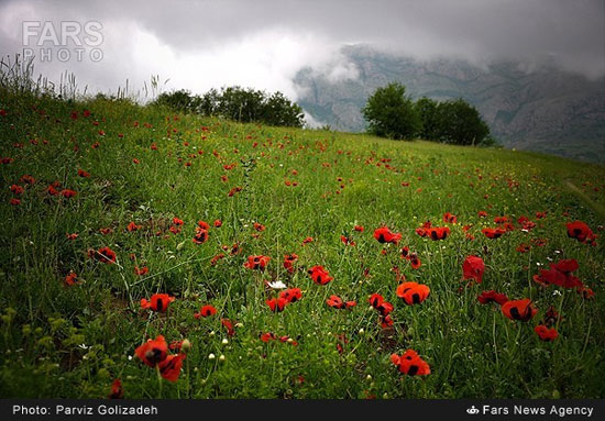 طبیعت ارسباران