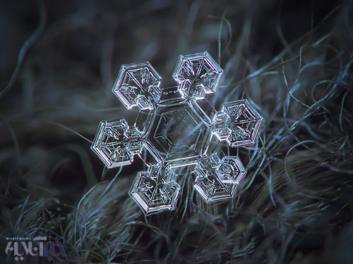 تصاویری حیرت‌انگیز از کریستال‌های برف