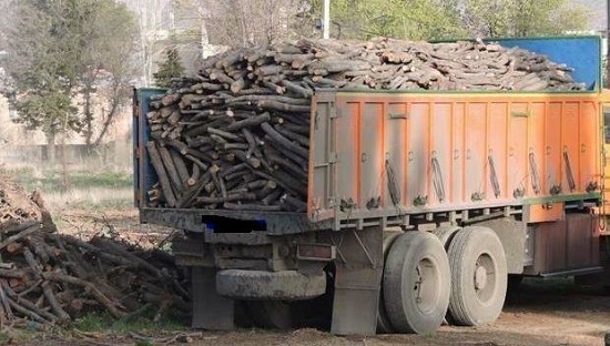 بیشترین قاچاق چوب در کدام مناطق است؟