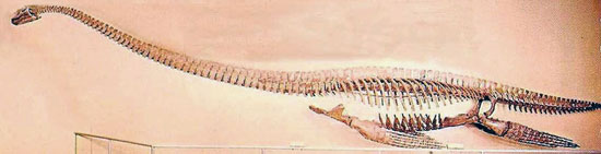 معروف‌ترین دایناسورهای جهان: ایلازموساروس