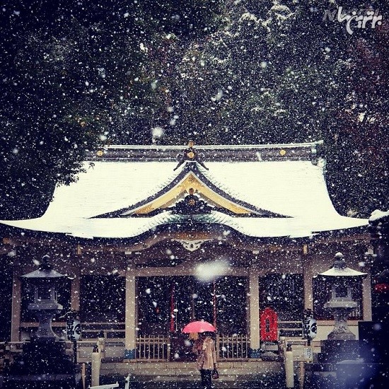 توکیو بعد‌از 50 سال برف را در نوامبر دید