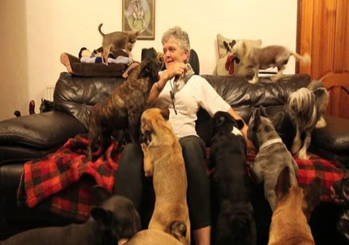 زندگی این زوج با 41 سگ در یک خانه! +عکس