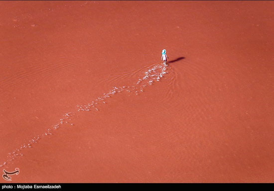 عکس: سرخی دریاچه ارومیه