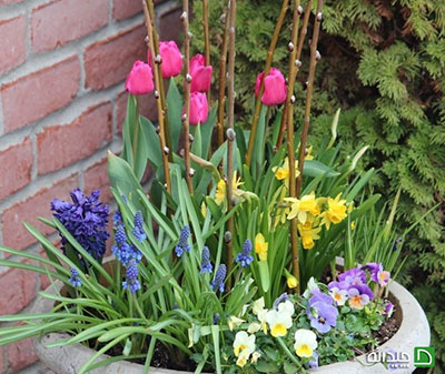تزیین حیاط خانه با گلدان، پیشنهادهای جذاب بهاری!