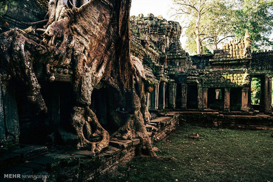 معابد متروکه و اسرار آمیز کامبوج +عکس