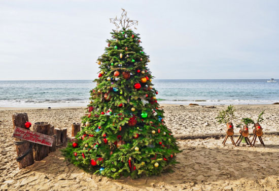 باشکوه‌ترین درختان کریسمس سال 2014