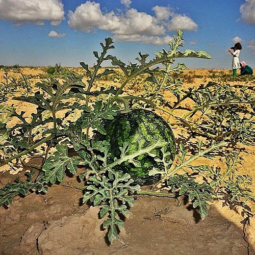 ایرانِ زیبای ما (6)