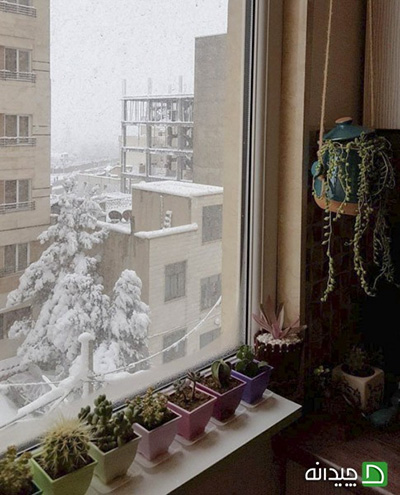 تزیین پنجره، ۶ قاب زیبا از نگاه خانم‌های ایرانی!