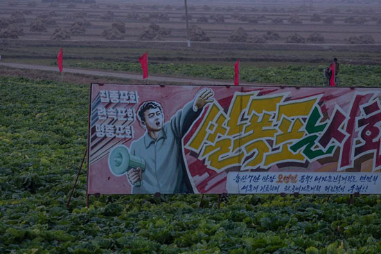 عکس: کشاورزی در کره‌شمالی