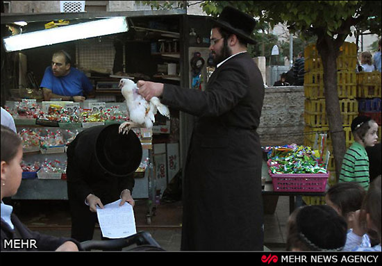 مراسم عجیب یهودیان افراطی‎ +عکس