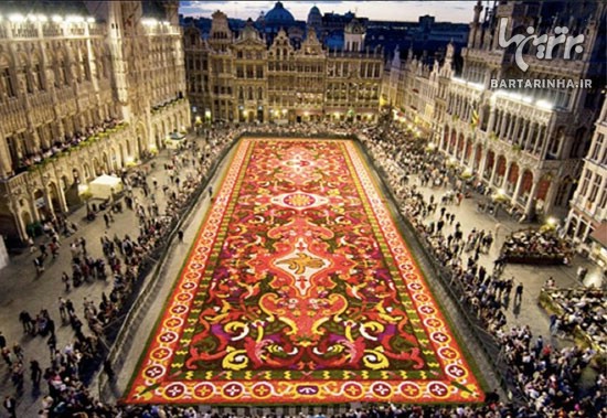 تصاویری زیبا از مراسم "فرش گل بروکسل"