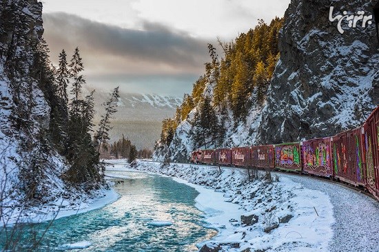 قطارهای حامل نور و شادی کریسمس در امریکا